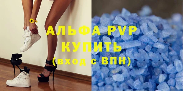 молекула духа Пересвет