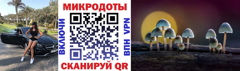 Псилоцибиновые грибы мицелий  Балахна 